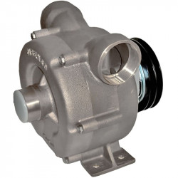 Рідинно-кільцевий насос для перекачування соків, сиропів LIVERANI NAUTIC 70 Inox FM 24V, 500 л/хв, AISI 316, без двигуна