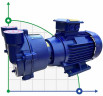 Vacuum pump 2BV2070
