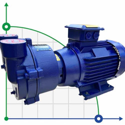 Bomba de vacío de anillo de agua 2BV2070