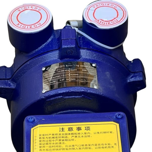 Vacuum pump 2BV2070