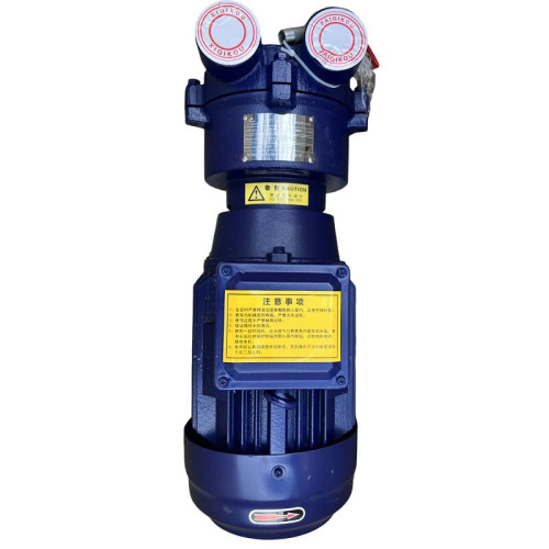 Vacuum pump 2BV2070