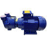 Vacuum pump 2BV2070