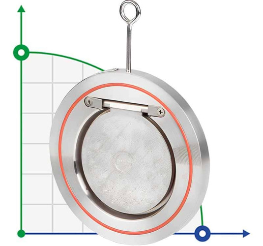 PN16 DN80 Обратный клапан из нержавеющей стали AISI 316, Seat VITON