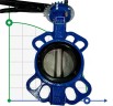 PN16 DN80 Butterfly valve, cast iron body, AISI 304 disc, Seat EPDM