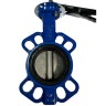 PN16 DN80 Butterfly valve, cast iron body, AISI 304 disc, Seat EPDM