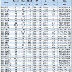BGWH 100-250(I)B (100/65), 37kW, 2880 Stainless Steel Horizontal Pump