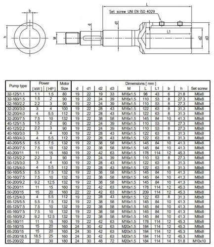 Monoblokowa pompa odśrodkowa 3DS/M 65-160/11,0
