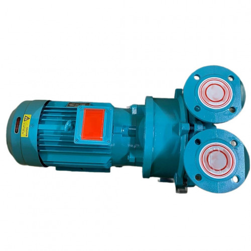 Vacuum pump 2BV5121