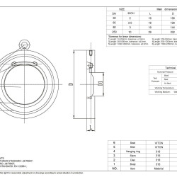 PN16 DN65 Clapet anti-retour en acier inoxydable AISI 316, siège VITON