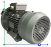 Pompa Do Przetaczania Oleju słonecznikowego AlphaDynamic AD40.1/01 2,2 kW wirnik