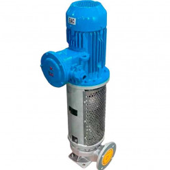 Pompe à huile thermique verticale 350°C LQLRY32-32-210/2-CEX, 4,5 m3/h, 50 m, 3 kW, 2900 rpm, Ex