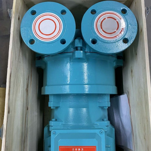 Bomba de vacío de secado 2BV5131