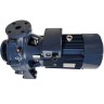 Monoblock centrifugal pump BST 32-250/5.5D, 3000