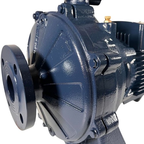 Monoblock centrifugal pump BST 32-250/5.5D, 3000