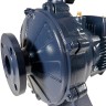 Monoblock centrifugal pump BST 32-250/5.5D, 3000