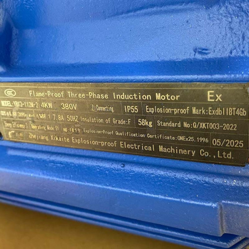 Вертикальний насос термомасла 350 градусів Цельсія LQLRY40-40-210/2-CEX, 6,3 м3/год, 50 м, 4 кВт, 2900 об/хв, Ex