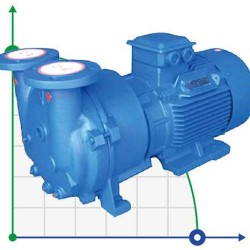 Bomba de vacío de anillo de agua 2BV5161