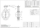 PN16 DN150 Butterfly valve, cast iron body, AISI 304 disc, Seat EPDM