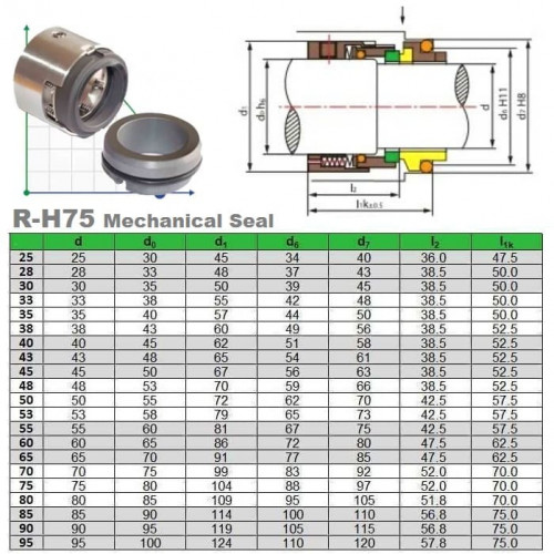 Gleitringdichtung für Pumpenwelle R-H75 45, CAR/SIC, EPDM, 304, Typ G9 BURGMANN H75