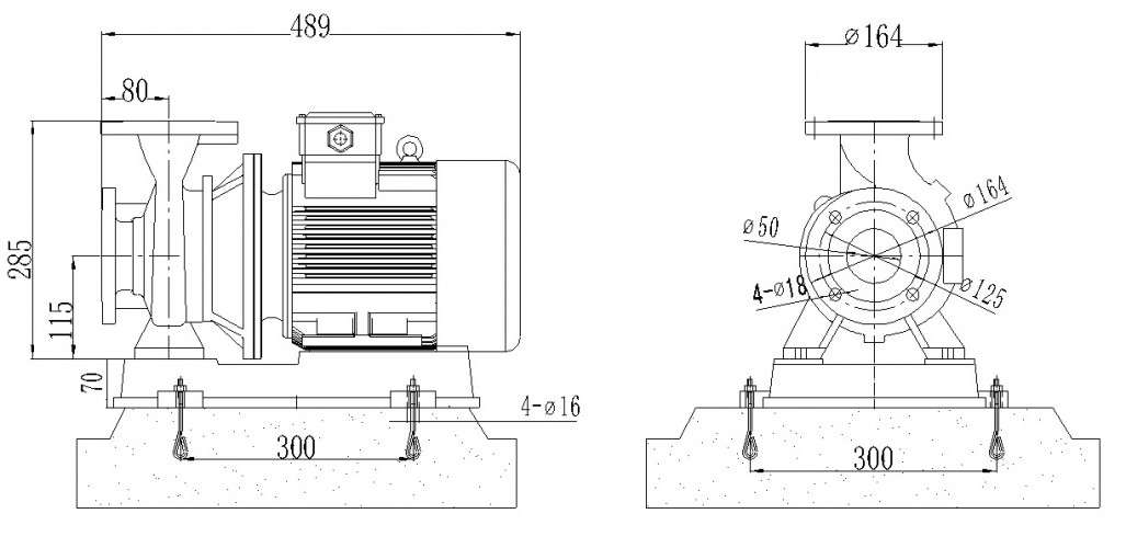 BGWHB 50-125(I)A (22,3/16), 2,2kW, 2880, Ex - насос нержавеющий горизонтальный