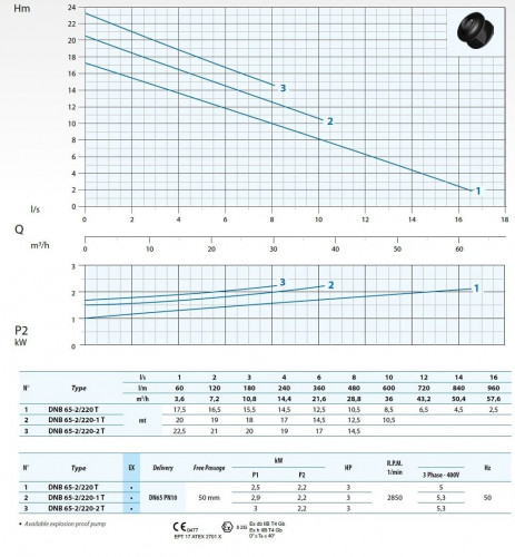 Tauchpumpe Dreno DNB-EX 65-2/220-1 T mit S-förmigem zweikanaligem Laufrad