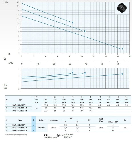Tauchpumpe Dreno DNB-EX 65-2/220-1 T mit S-förmigem zweikanaligem Laufrad