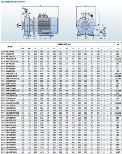 Bomba de agua monobloque BST4 100-250/15, 1500