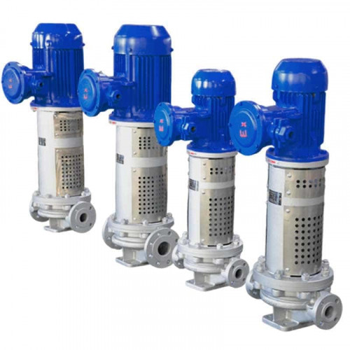 Pompe à huile thermique verticale LQLRY50-50-210/2-CEX, 12,5 m3/h, 50 m, 5,5 kW, 2900 rpm, Ex