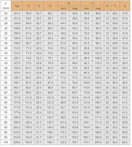 Kartuschendichtung R–Convertor 63, SiC/SiC, Viton, 304