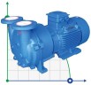 Bomba de vacío del evaporador 2BV6111