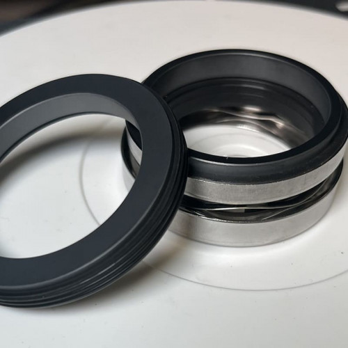 Sello mecánico para bomba ABS R-1577 65, SIC/SIC, VITON, 304, G60