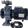Monoblock centrifugal pump BST 40-125/1.5, 3000