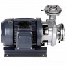 Bomba para bombeo de aceite esencial de pino QHS-50-5, AISI 304