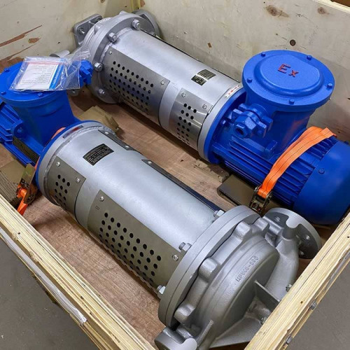 Pompe verticale de transfert de chaleur pour liquides à haute température LQLRY80-80-260/2-CEX, 50 m3/h, 80 m, 22 kW, 2900 rpm, Ex