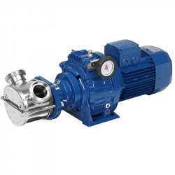 Impeller pump for pumping viscous food products LIVERANI VA MINOR 40 NR TF 1.5 kW, 175-900 rpm, 380V with variator