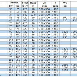 Pompa transferowa oleju napędowego IRG BGLB 300-235(I)A (965/32), 132kW, 1480 Ex