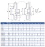 Groupe motopompe K150-125-315a, 22kW, 1500, sur châssis