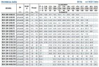 Консольный насос для ирригации BS4 100-200/40 (96/9,7), 4kW, 1450 без двигателя