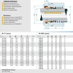 Normale Wellendichtung R-FBC 22, SIC/SIC, VITON, 304, NG