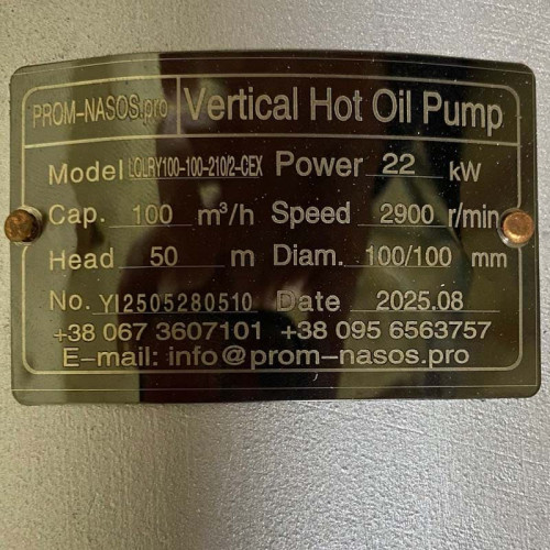 Високотемпературний насос для циркуляції масла LQLRY100-100-210/2-CEX, 100 м3/год, 50 м, 22 кВт, 2900 об/хв, Ex