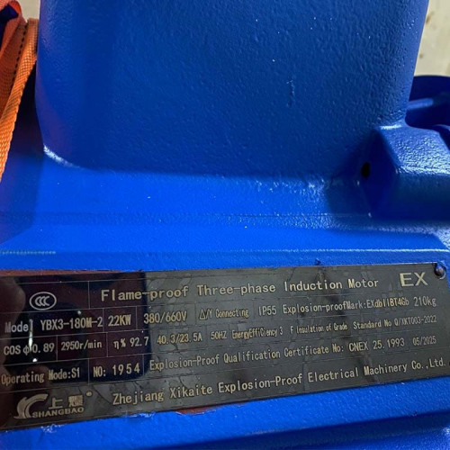 Високотемпературний насос для циркуляції масла LQLRY100-100-210/2-CEX, 100 м3/год, 50 м, 22 кВт, 2900 об/хв, Ex