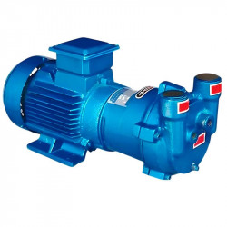 2BV2061 Wasserring-Vakuumpumpe