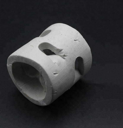 Anillos Pall de Cerámica, 38x38x4 mm, Ceramic Pall Ring