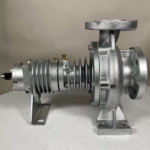 Pompe à huile chaude EMSE EKY 50-160, 11 kW, 2900, sans moteur