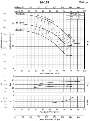 Консольный насос для ирригации BSM 50-125/30 (48/17), 3kW, 2900