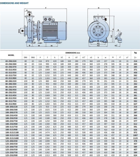 Monoblock pump for glycerin BST 80-315/45, 3000