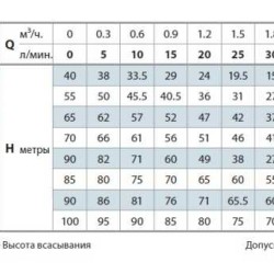 Pompa wirowa Pedrollo PQ 300