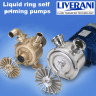 Flüssigkeitsring-Wirbelpumpe LIVERANI EP JUNIOR 1 1/4 + BY-PASS, 58 l/min, CC/24 V, 0,45 kW, 2800 U/min, AISI 316, Seal Cer.-Grafit-NBR