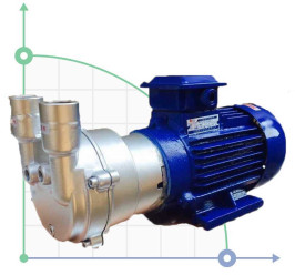 2BV2061, bomba de vacío AISI 304 para gases corrosivos