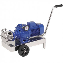 Impeller pump for pumping puree with berries LIVERANI VA MINOR 40 NR TF 1.5 kW, 175-900 rpm, 380V with variator, with trolley